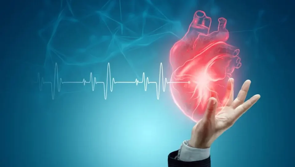 خضار لا تتوقعه يساهم في حماية صحة القلب والدماغ والعظام 4 أعراض اضطراب كهرباء القلب