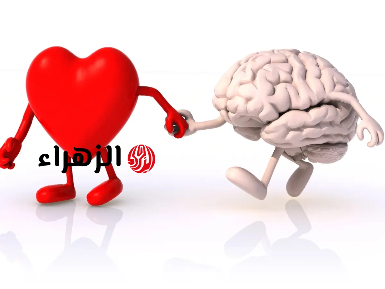 خضار لا تتوقعه يساهم في حماية صحة القلب والدماغ والعظام