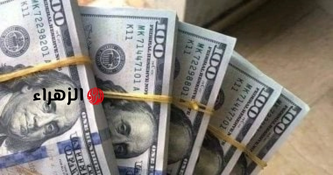 سعر الدولار يواصل تراجعه أمام الجنيه فى البنوك اليوم الثلاثاء