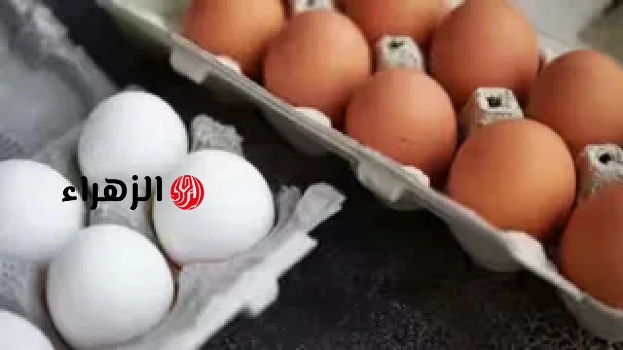 تنبيه إدارة الغذاء والدواء بشأن البيض: تم سحب 1.6 مليون دزينة من البيض في الولايات المتحدة بسبب خطر بكتيريا السالمونيلا