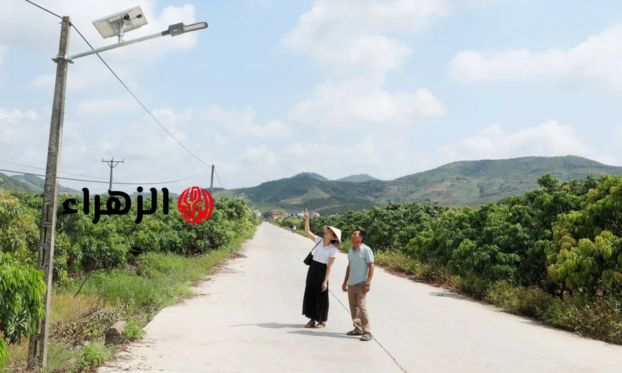 https://www.vietnam.vn/ar/lap-dat-he-thong-den-chieu-sang-nang-luong-mat-troi-tai-xa-luc-ngan