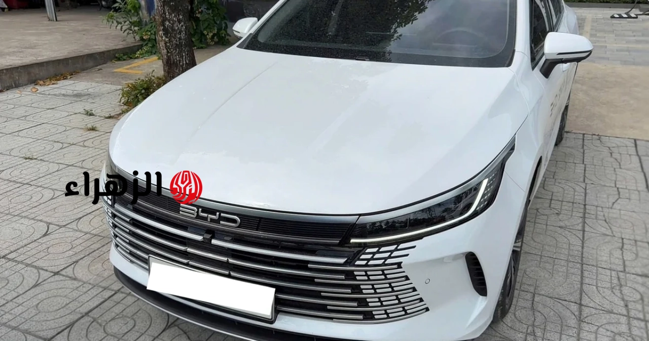 أخبار أسعار السيارات: يتم التخلص من سلسلة من سيارات BYD التجريبية من المخزون، مع خصومات تصل إلى مئات الملايين من الفيتنامية دونغ مقارنة بالأسعار الجديدة.
