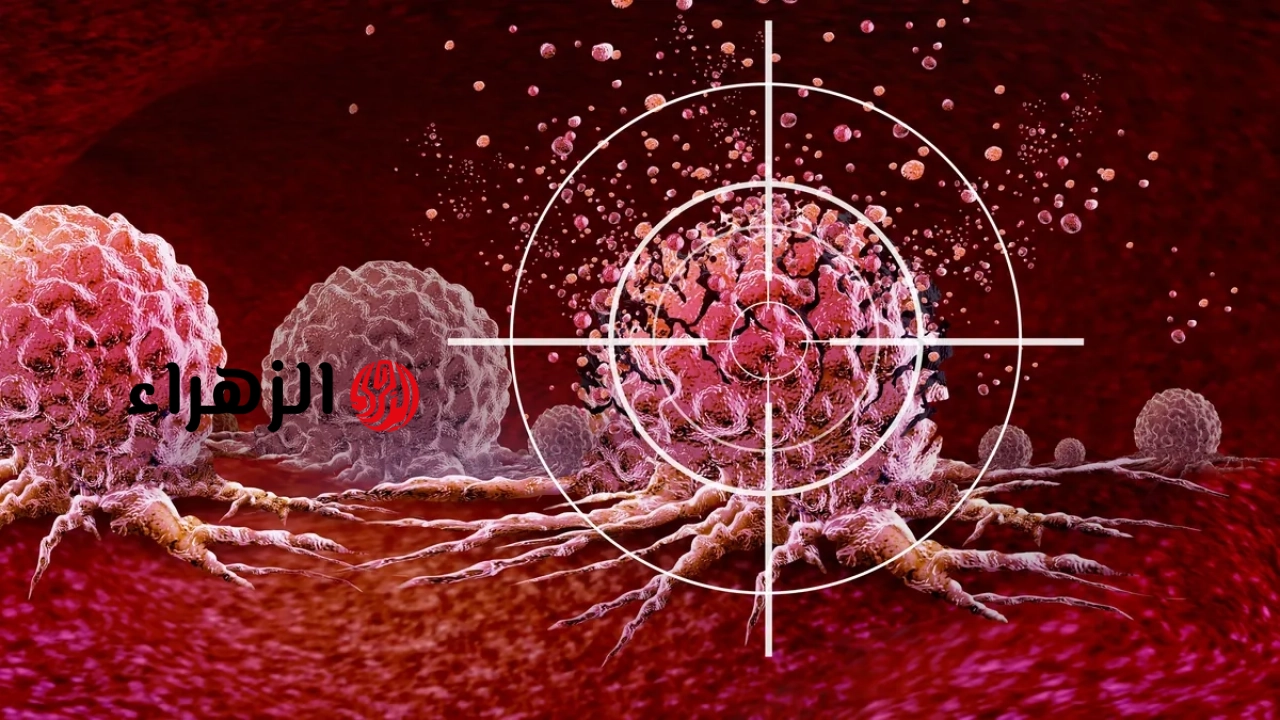 الأسلحة الجديدة ضد ثلاثة أنواع شائعة من السرطان