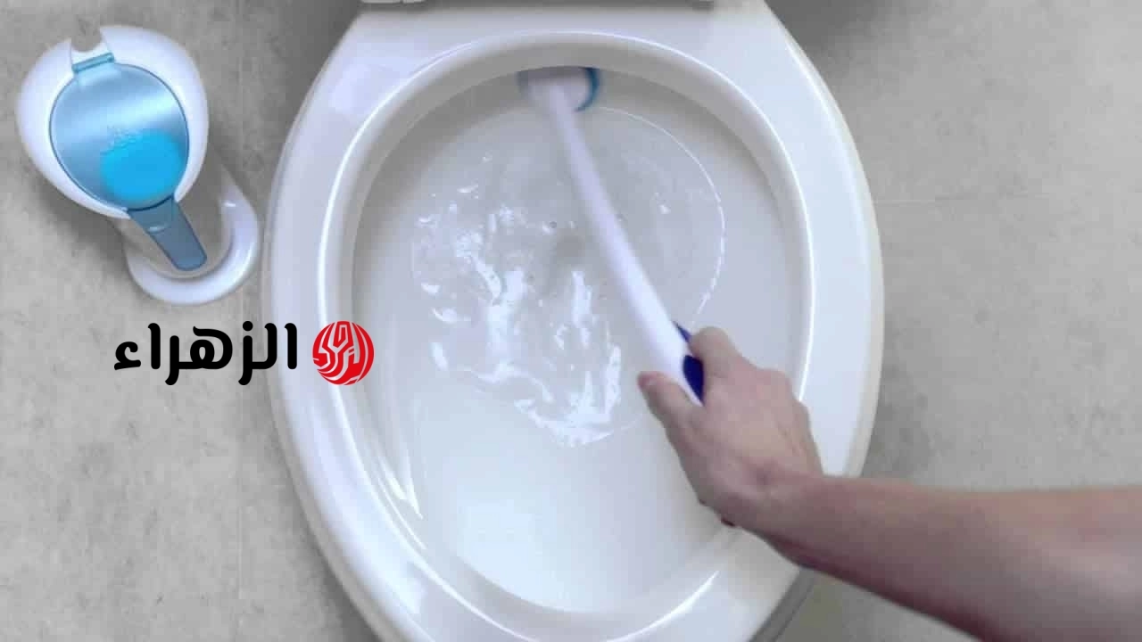 سبب ظهور رائحة المجاري في الحمام بشكل مفاجئ 8 أسباب وكيفية الحل بدون سباك