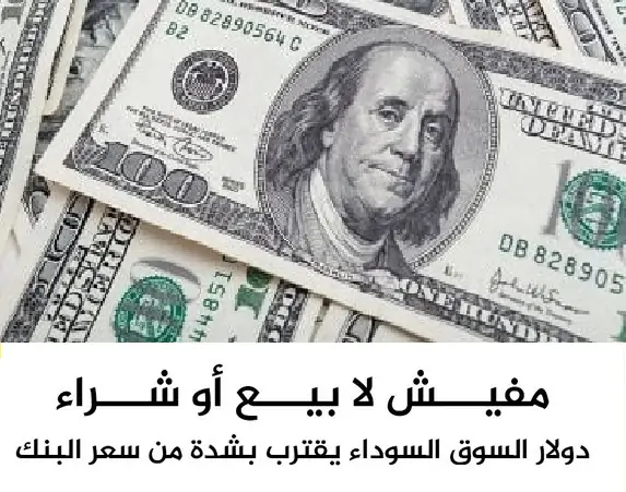 سعر الدولار اليوم