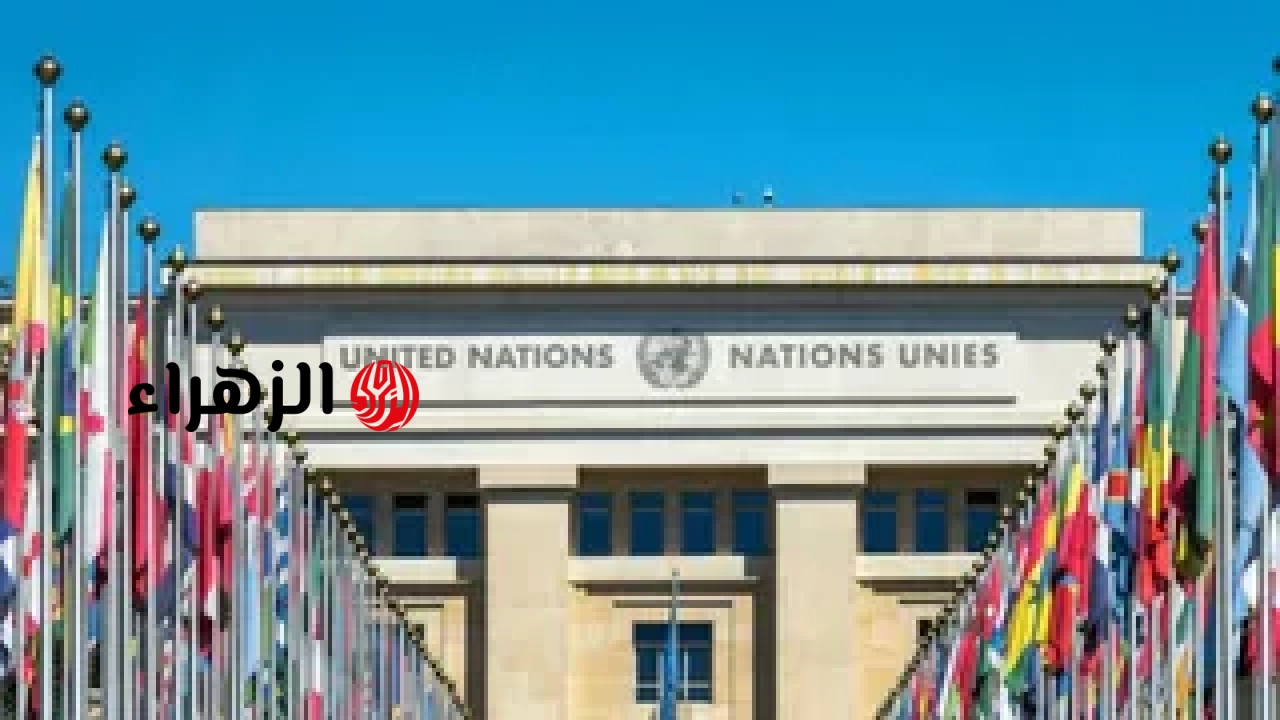 أعربت الأمم المتحدة عن قلقها إزاء المظاهرات الطلابية في نيودلهي، وقالت إن الحق في الاحتجاج السلمي مهم