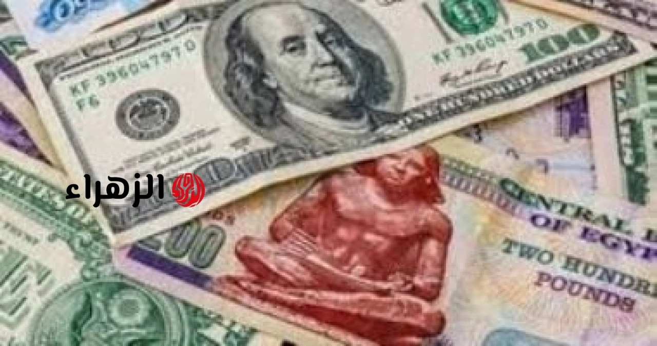 سعر الدولار مقابل الجنيه فى بداية تعاملات اليوم الإثنين