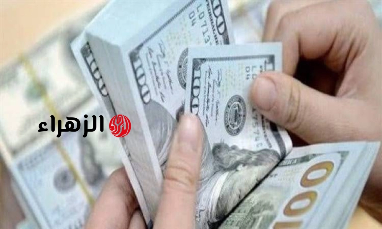 تعرّف على سعر الدولار اليوم السبت 25 يوليو 2026
