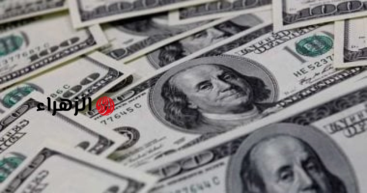 استقرار سعر الدولار مقابل الجنيه فى البنك المركزى المصرى