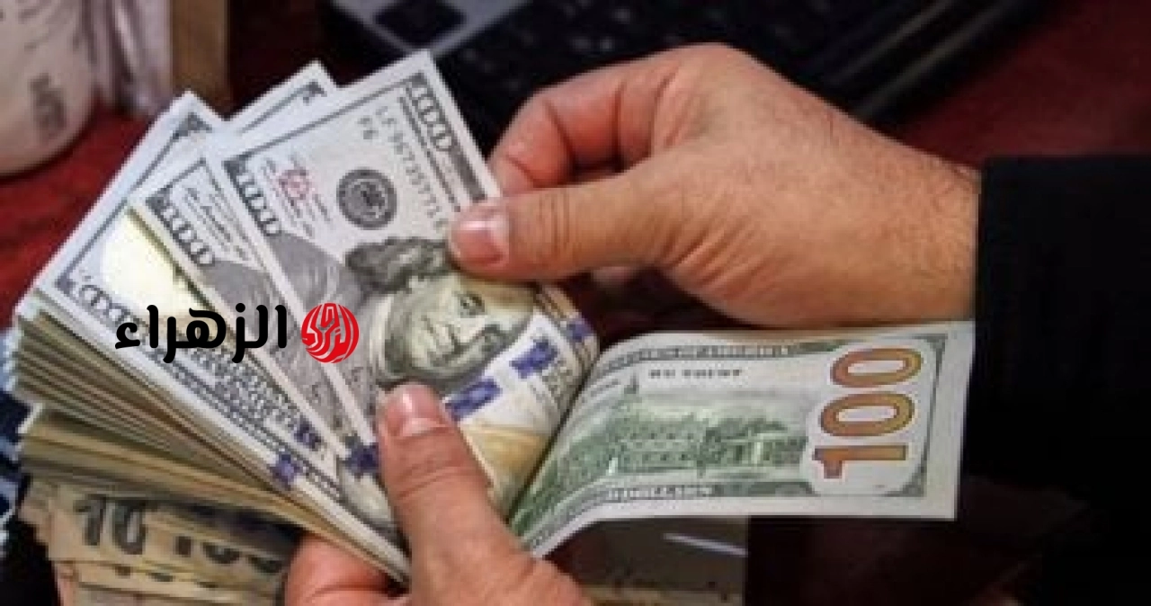 سعر الدولار ينهى تعاملات اليوم الإثنين على ارتفاع أمام الجنيه