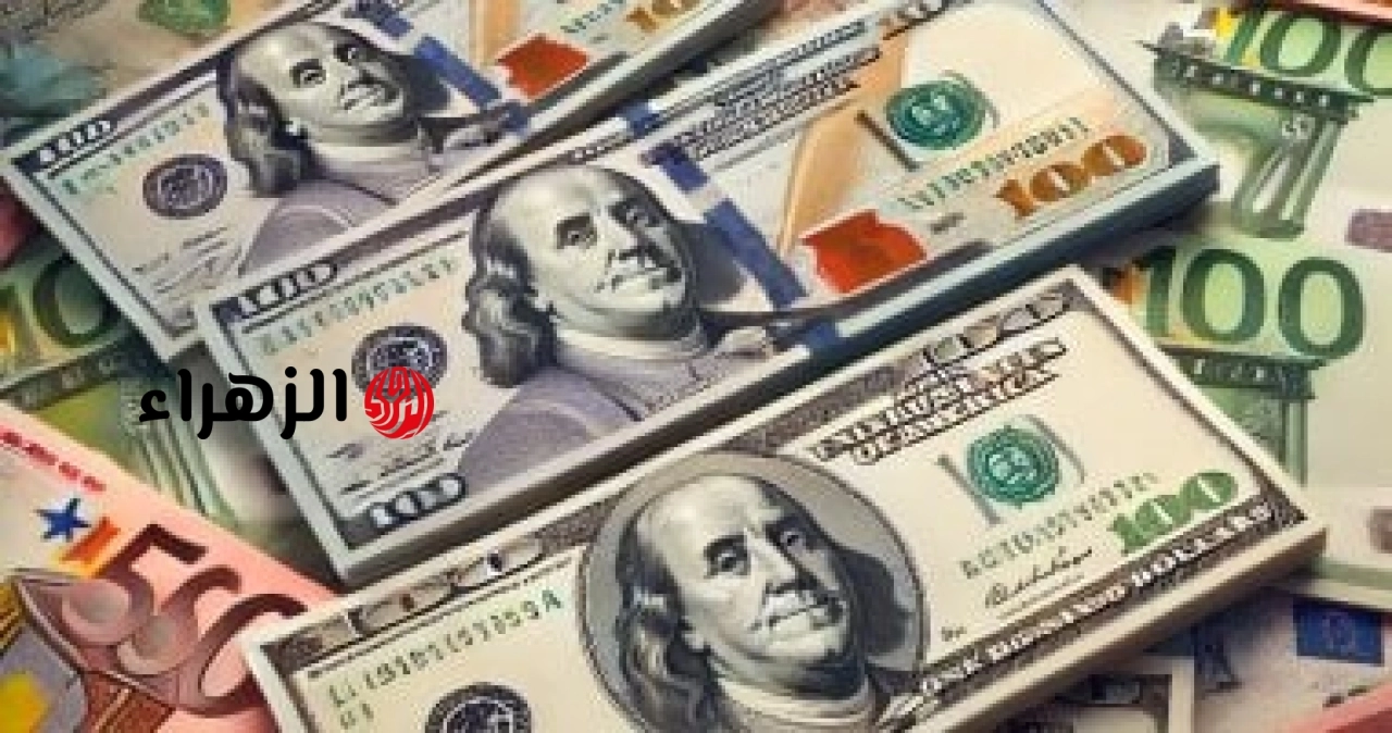 تعرف على سعر الدولار مقابل الجنيه فى البنك المركزى المصرى