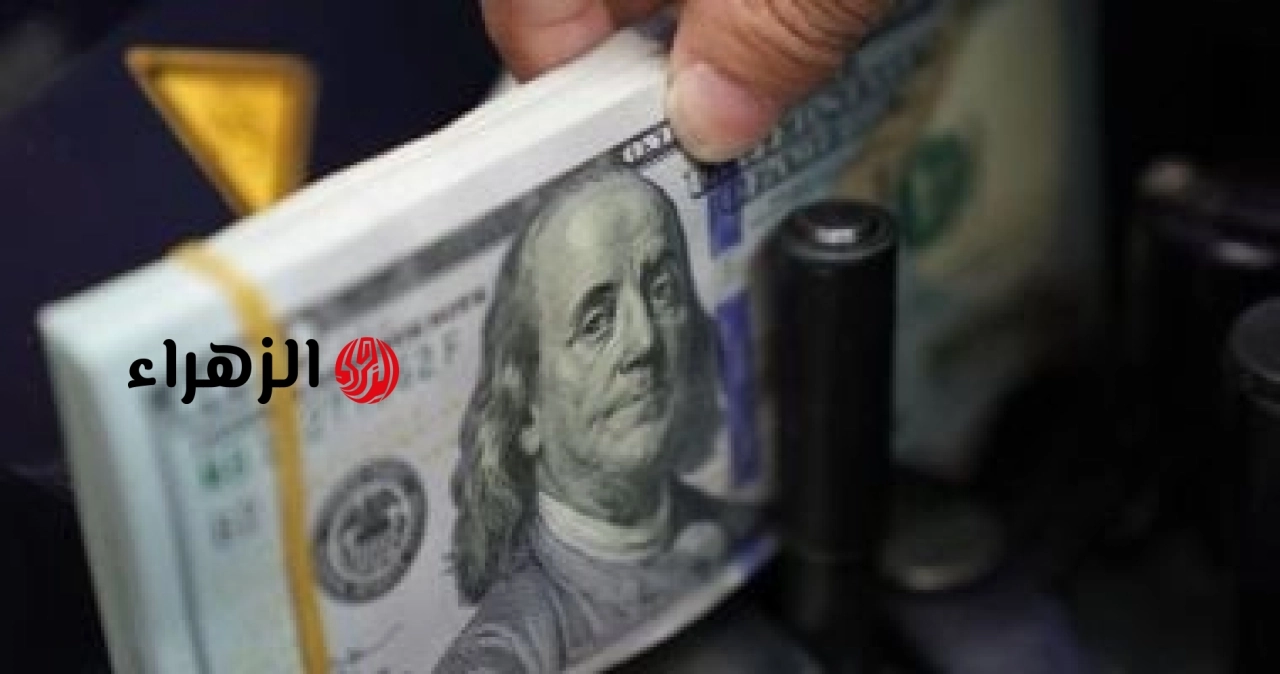 سعر الدولار اليوم الجمعة 17 يوليو 2026.. الأخضر يحافظ على استقراره