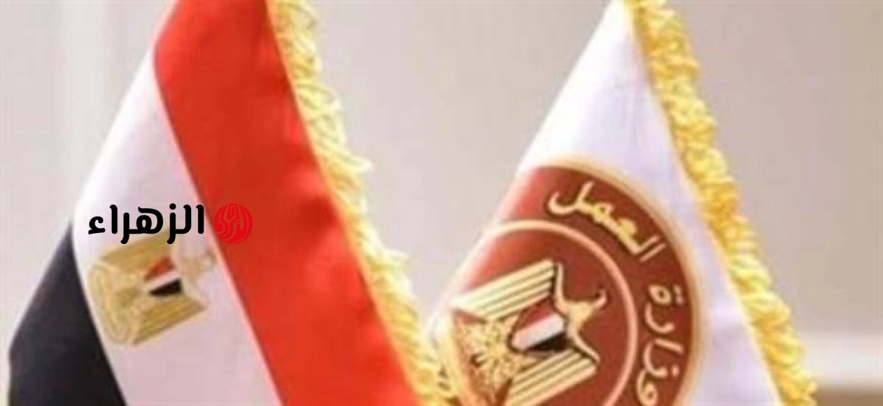 وزارة العمل تعلن عن وظائف شاغرة للمدرسين والإداريين في 13 تخصصاً