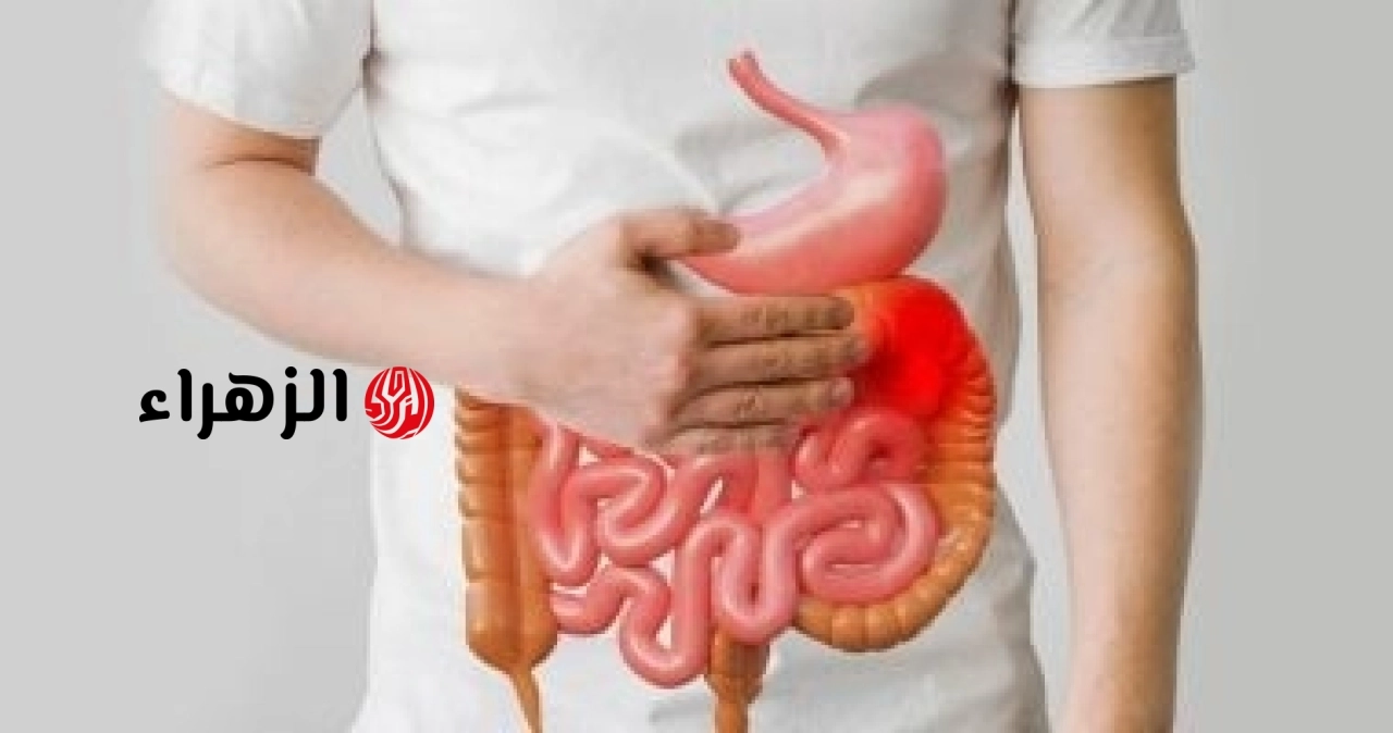 عادة خاطئة بعد العشاء تدمر صحتك.. احذر النوم مباشرة لتجنب ارتجاع المريء