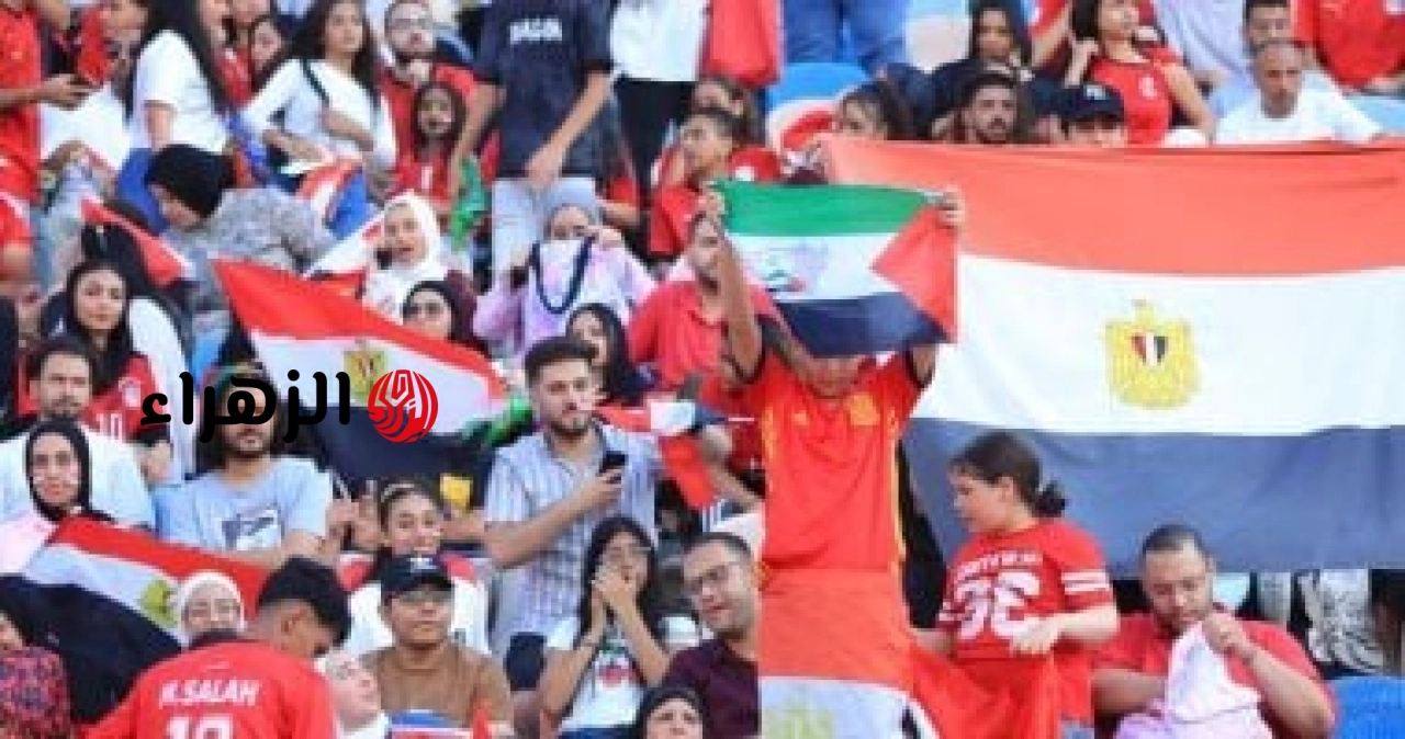 الجماهير تحمل علم فلسطين فى احتفالية منتخب مصر بإنجاز كأس العالم