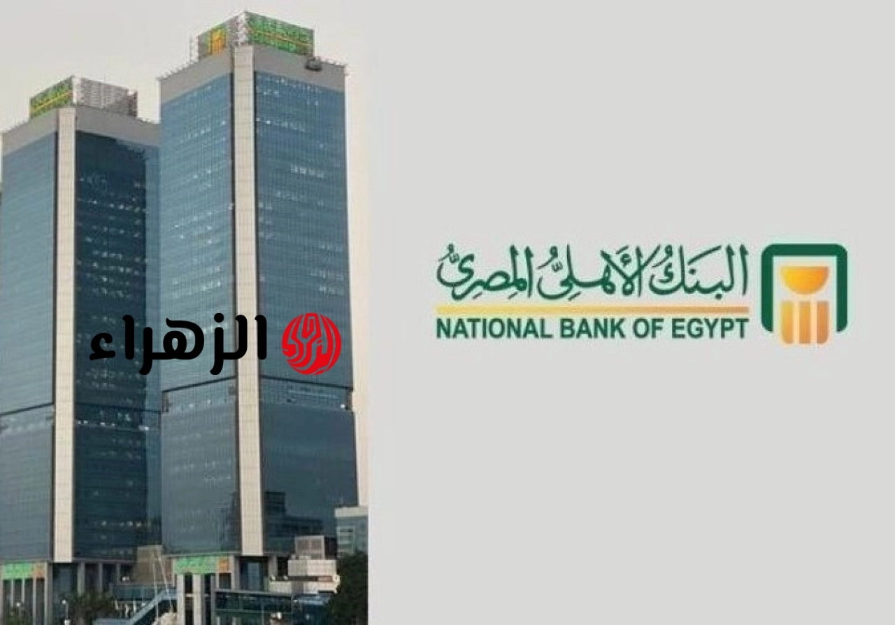 وظائف البنك الأهلي المصري 2026 لحديثي التخرج تفاصيل الشروط والتخصصات