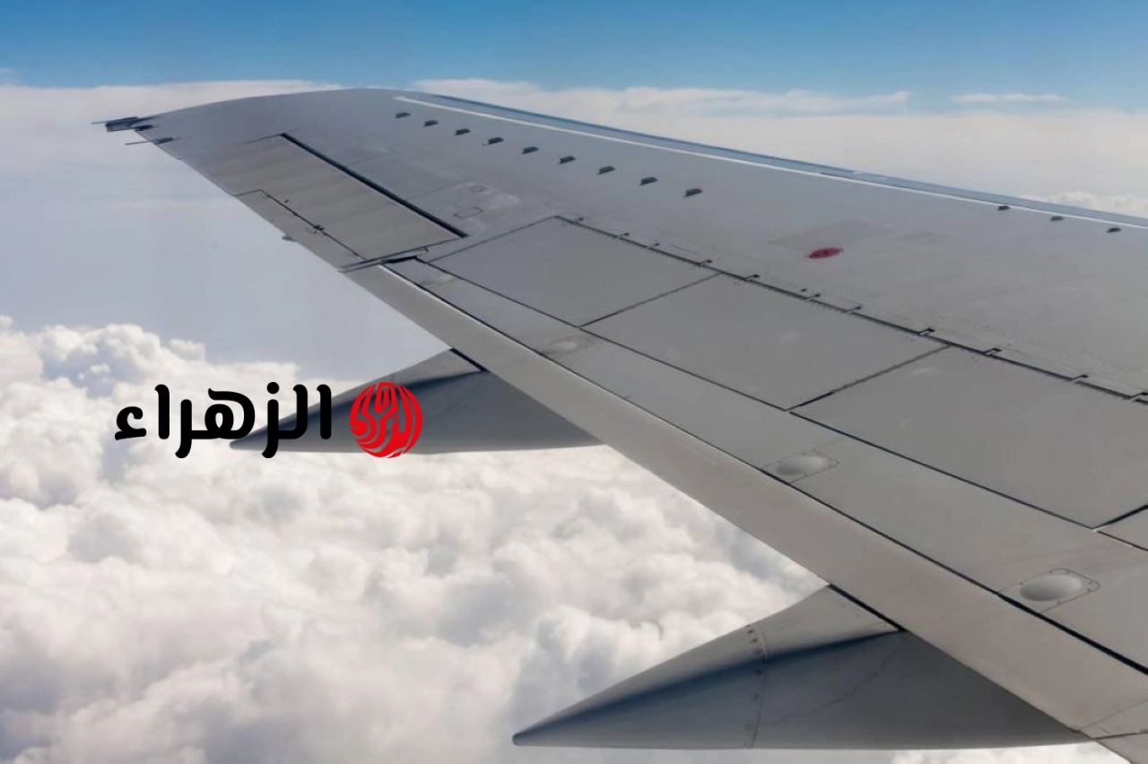 صراع رباعي القوى.. لماذا لا تسقط الطائرة رغم وزنها المرعب؟