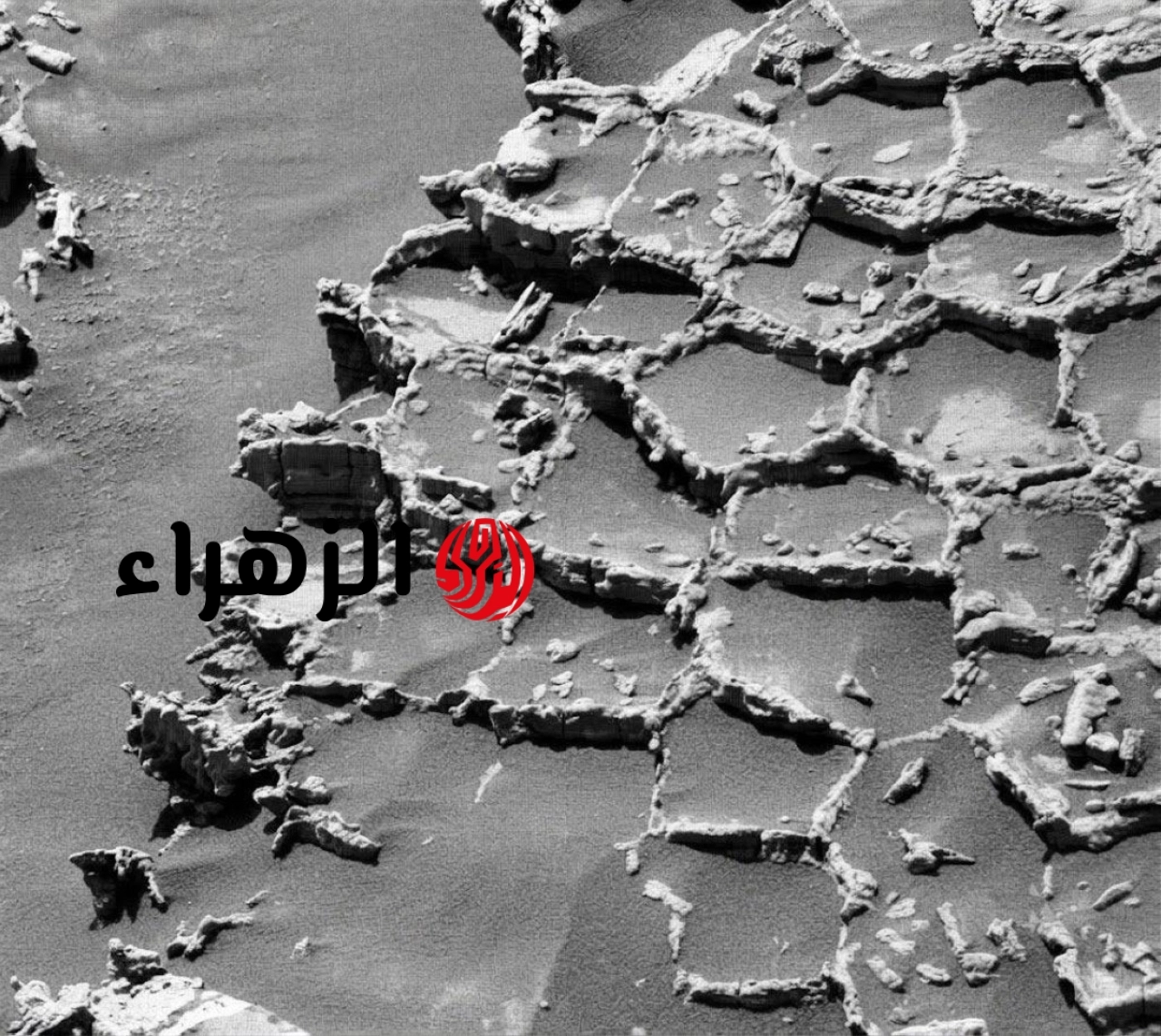 “خلية نحل” على المريخ.. لغز يحير علماء ناسا