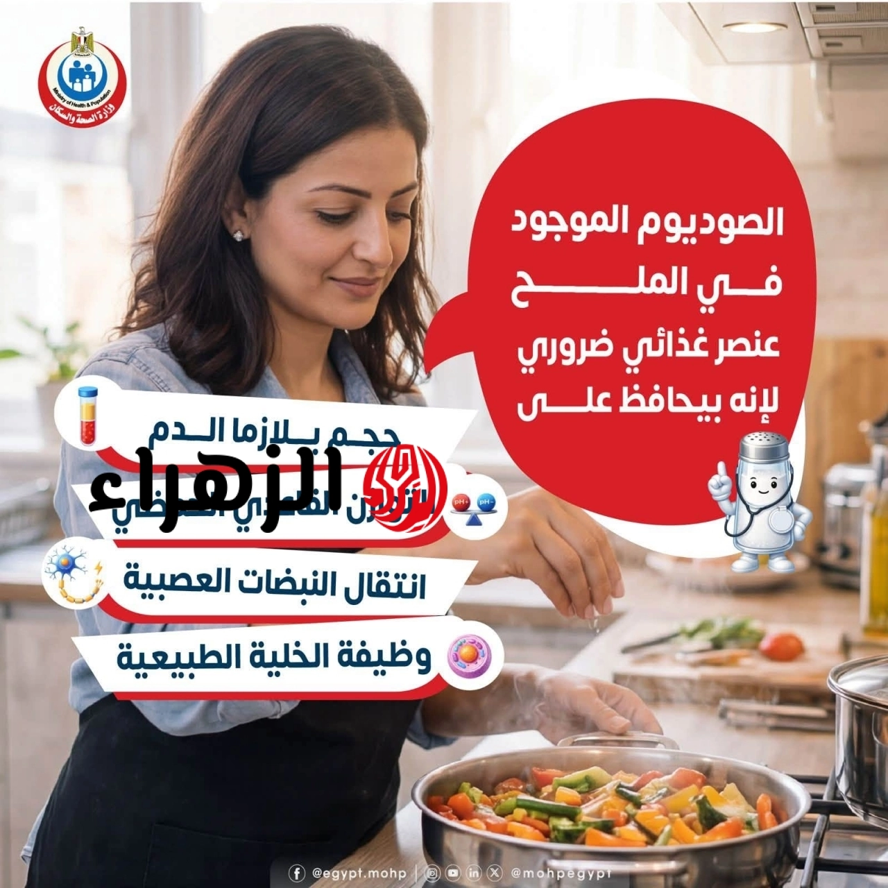 سلاح ذو حدين على مائدتك.. وزارة الصحة تحدد الكمية الآمنة وتكشف الوجه الآخر للصوديوم 6 738745384 1362120912765786 68832
