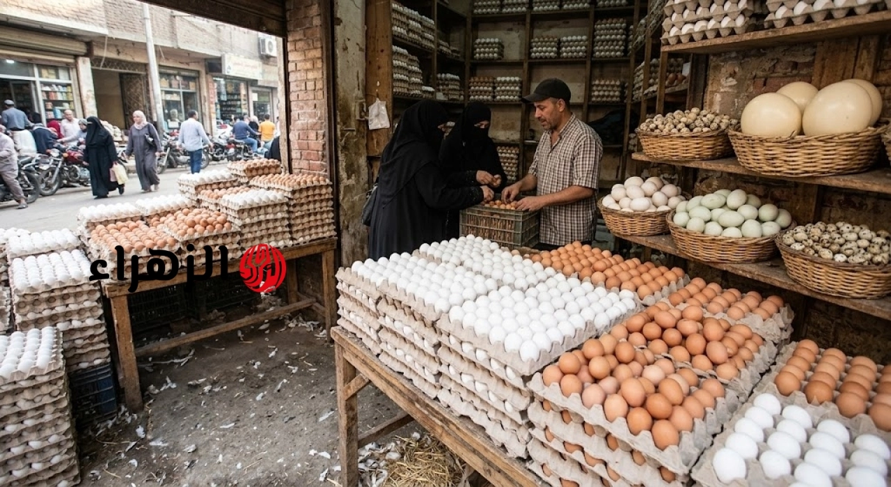 البيضة بـ 3 جنيهات أسعار كرتونة البيض اليوم في المزارع والأسواق المحلية