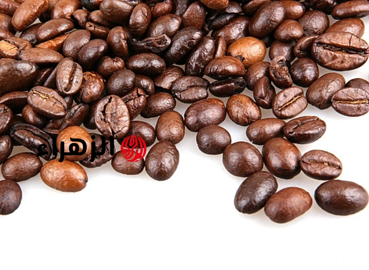 كيف تكتشف القهوة المغشوشة بنوى البلح؟.. استشاري تغذية تجيب