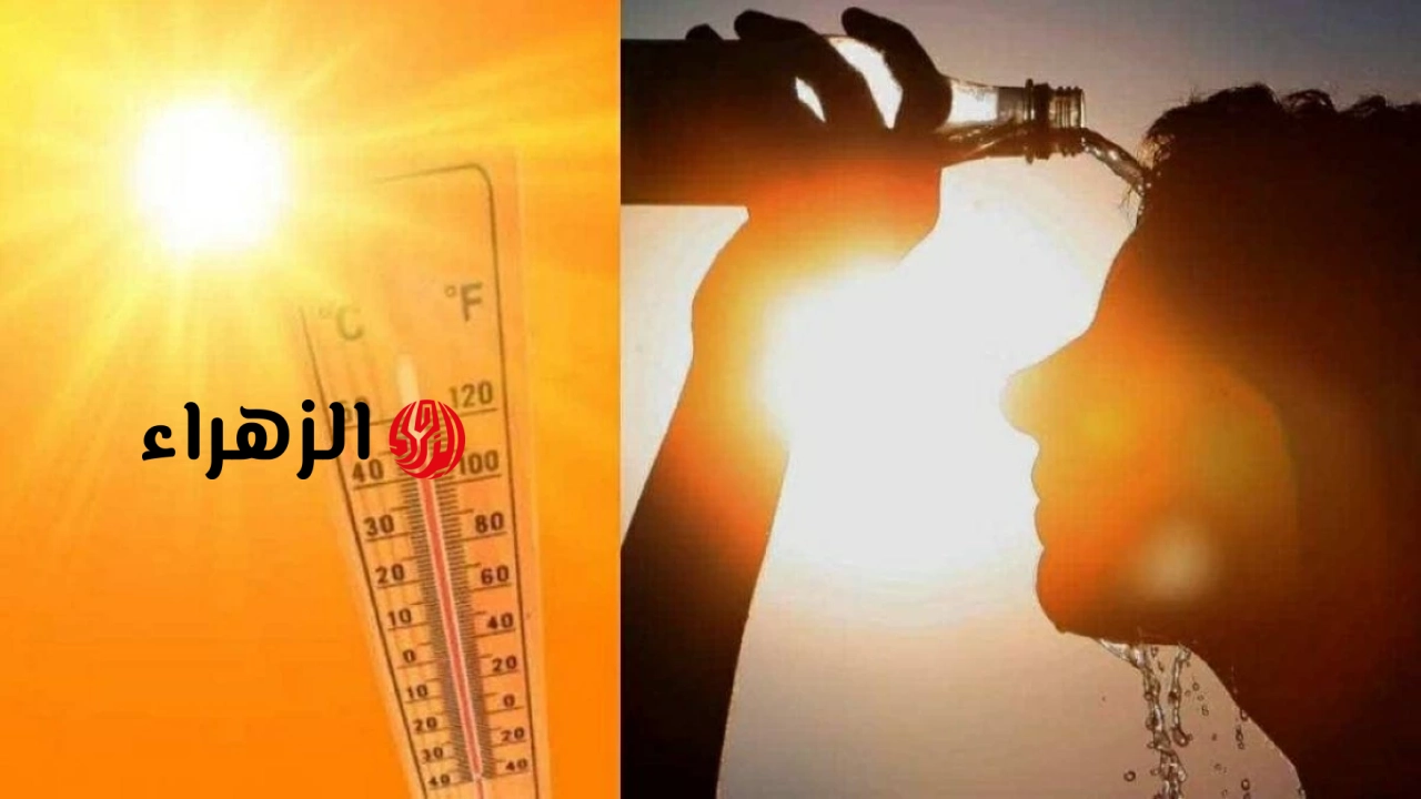 الأرصاد تُحذر من ذروة الموجة الحارة وحقيقة وصول الحرارة لـ 50 درجة