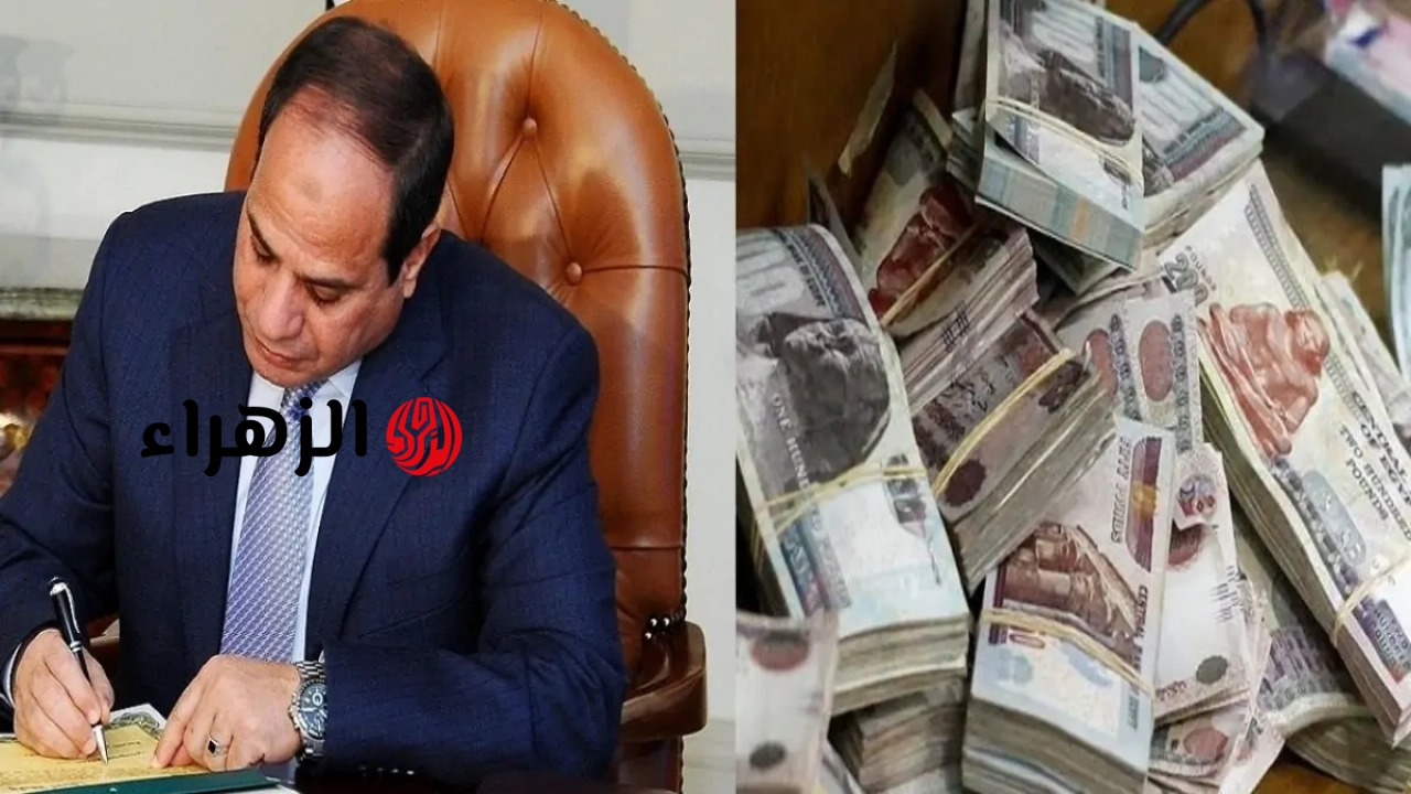 بشرى لأصحاب المهن الحرة بتنفيذ توجيهات الرئيس الرئيس السيسي معاشات للديلفري والعمالة غير المنتظمة