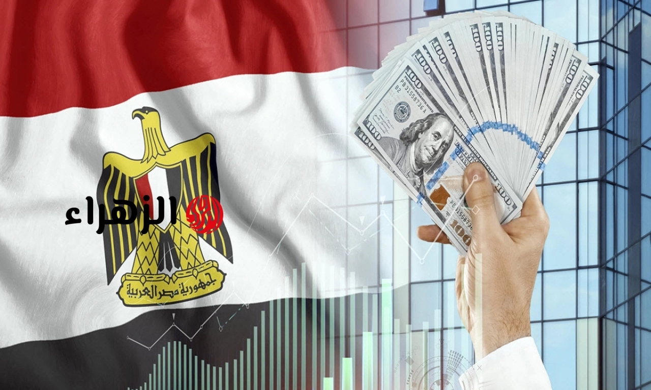 سعر الدولار اليوم 25 يوليو 2026 أمام الجنيه اليوم بعد الارتفاع الآخير في البنوك