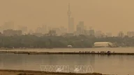 هل يمكن تأجيل نهائي كأس العالم 2026 بسبب دخان حرائق الغابات؟