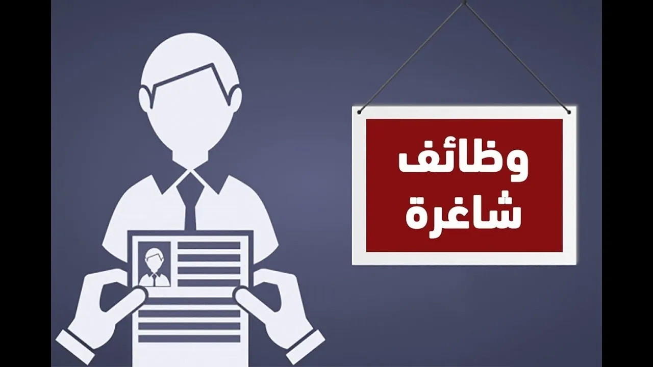 كيفية التقديم على وظائف المركز القومي للامتحانات الشروط والتخصصات المطلوبة 3 وظائف خالية