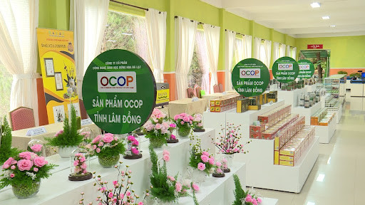 لام دونغ: رفع مكانة المنتجات الزراعية المميزة من خلال تقييم وتصنيف منتجات OCOP. 6 438-202607241606272.jpg