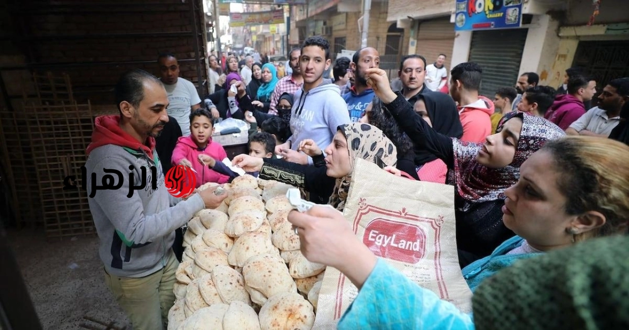 معلومات عن نظام الخصم المباشر لدعم الخبز التفيذأول أغسطس