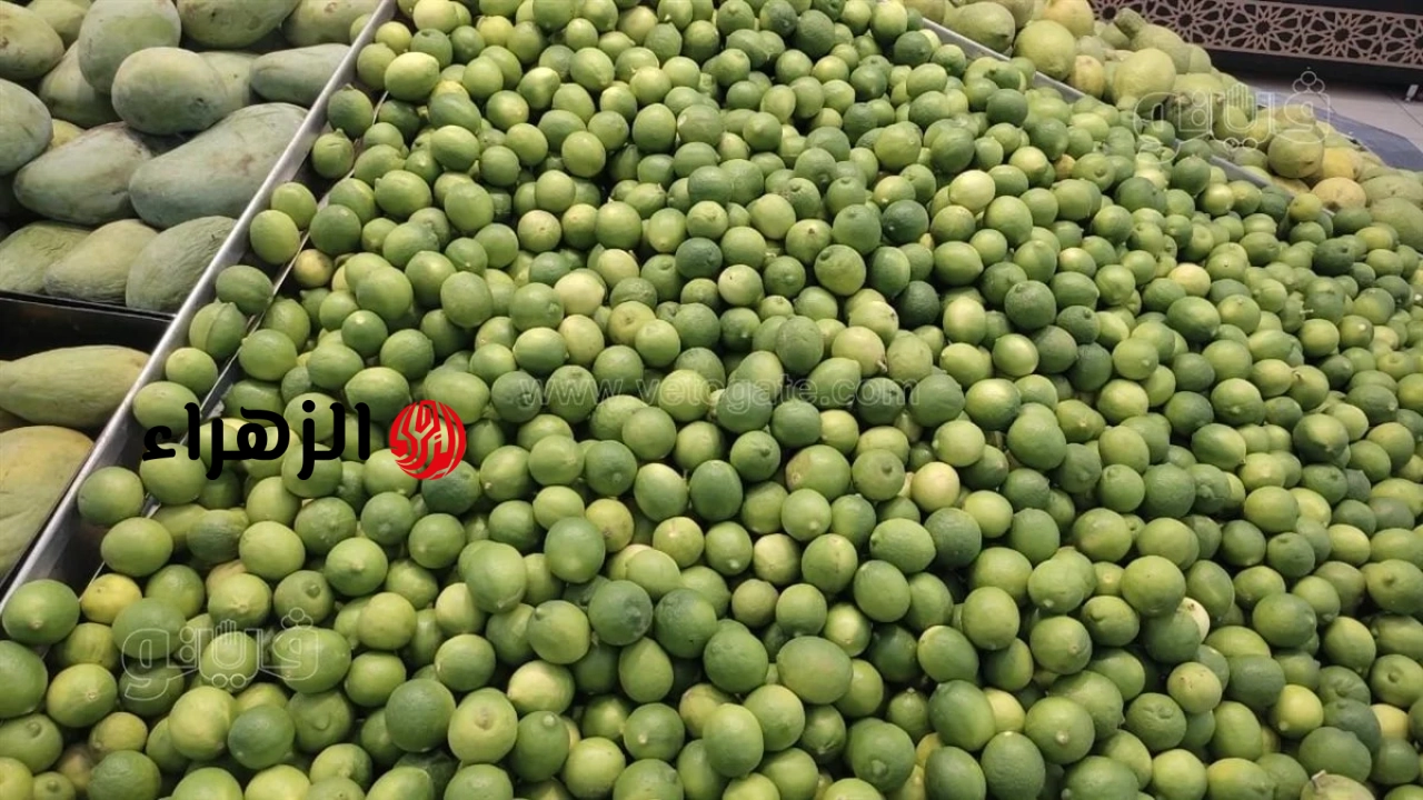 موعد تراجع سعر الليمون بالأسواق الكيلو وصل 70 جنيها